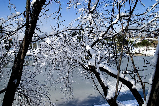 Nieve,hielo y naturaleza belleza del conjunto de imagen Naturaleza Color (Digital)