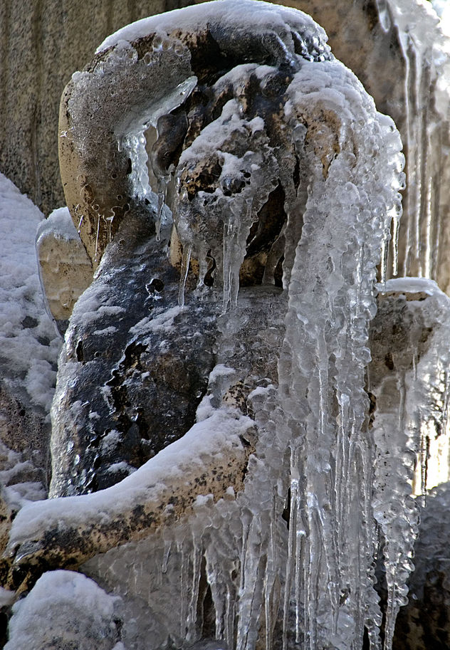 Nieve,hielo y naturaleza belleza del conjunto de imagen en el Gran Retiro (Madrid)
