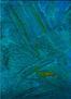 COLOGRAFIA6