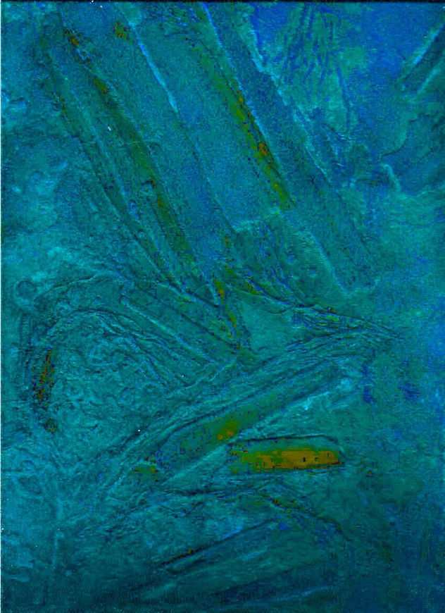 COLOGRAFIA6