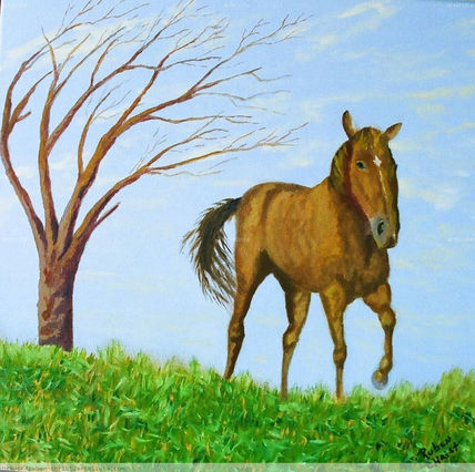 Caballo Campero