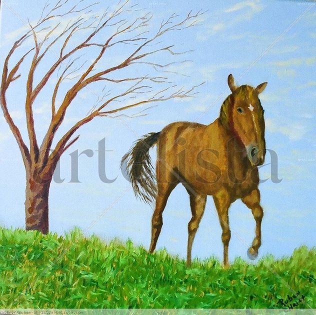 Caballo Campero