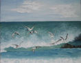 Gaviotas