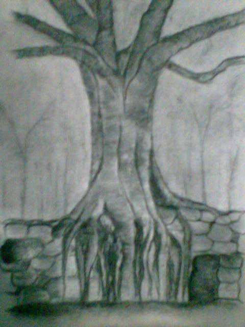 ARBOL DEL NORTE