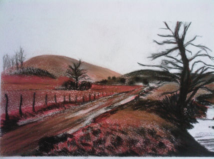 Paisaje