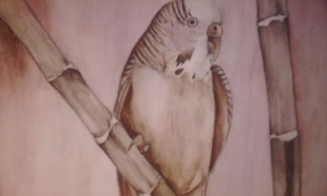 PINTURAS