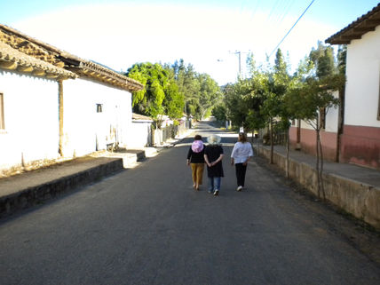 Hualleco 2010