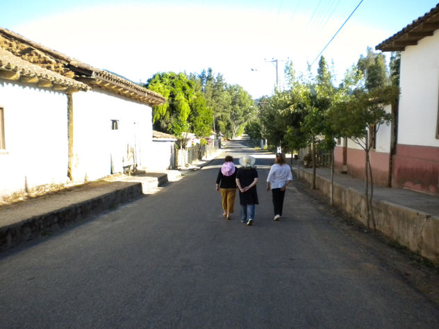 Hualleco 2010