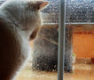 hoy llueve