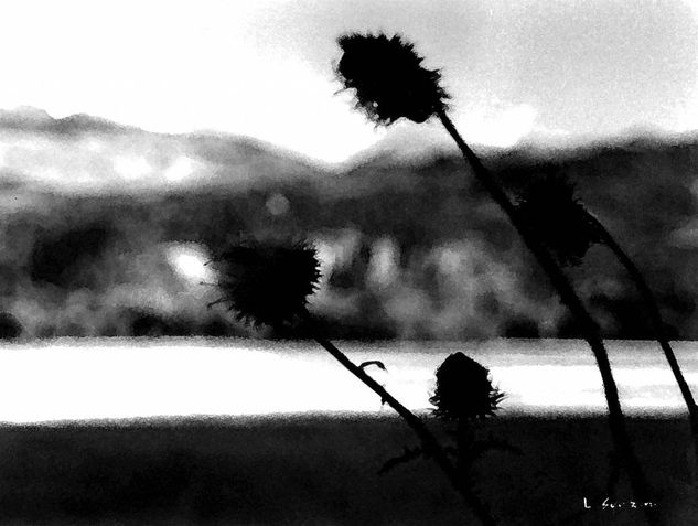 Pasa por el un soplo Naturaleza Blanco y Negro (Química)