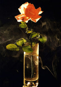 Rosa de humo