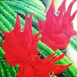 FRUTAS thumbnail 1