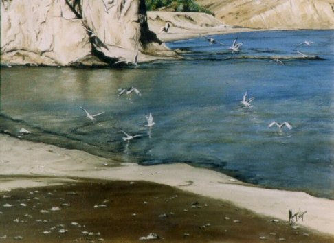 peñon blanco
