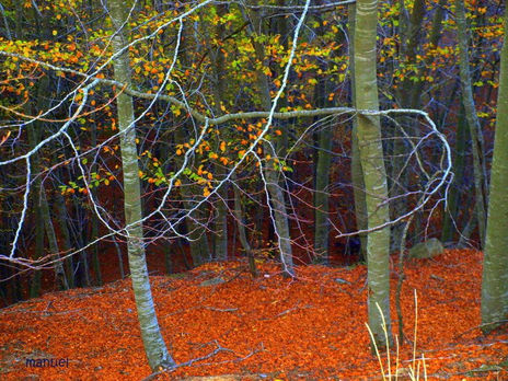 Otoño