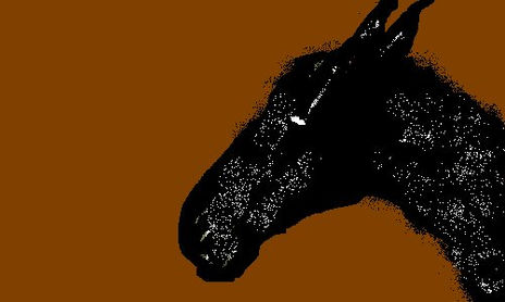 ANIMALES