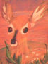 bambi en el bosque