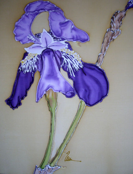lirio II