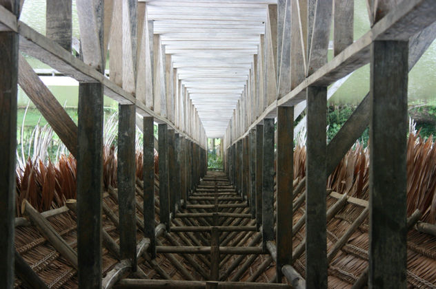Mi mundo patas arriba.