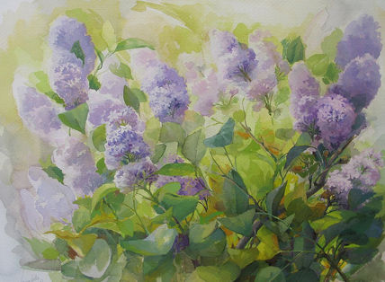 Lilas