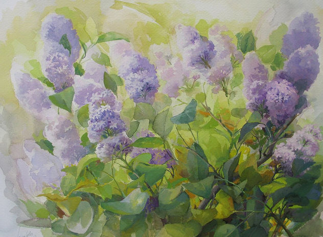 Lilas