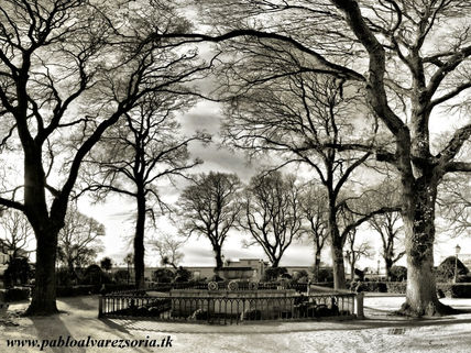 Jardín de san carlos