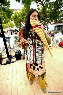 Nativezonefuengirol...