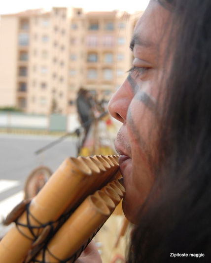 Nativezonedosmildie...