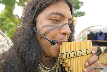 Nativezonedosmildie...