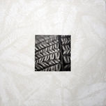 TRÓPICO BLANCO thumbnail 2