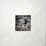 TRÓPICO BLANCO thumbnail 1