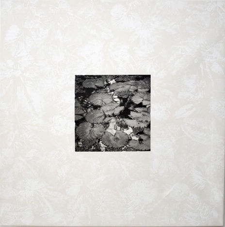 Trópico Blanco