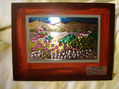 Paisaje Andino
