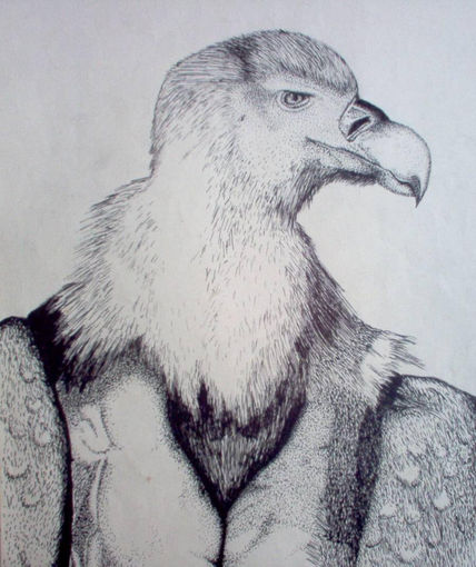Ave carroñero