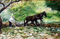 Trabajando la tierra.