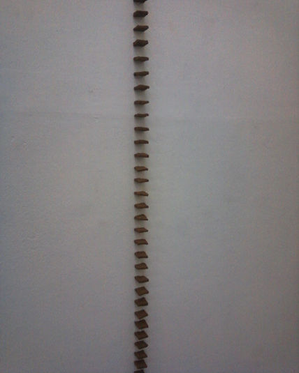 Linea