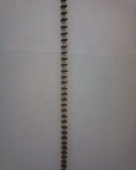 Linea