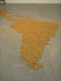 Plano de Latino America