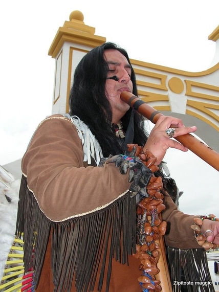 Nativezonezipitoste...