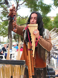 Nativezonezipitoste...