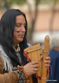 Nativezonezipitoste...