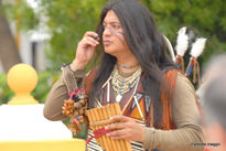 Nativezonezipitoste...