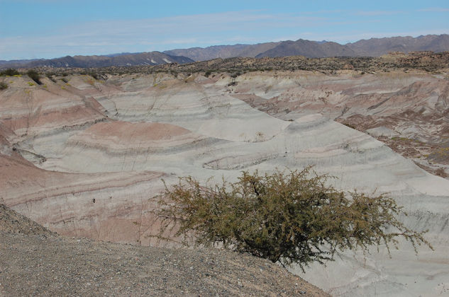 "Valle Pintado" 