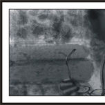 Trabajadores thumbnail 1