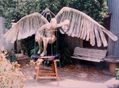el angel