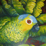 animaladas thumbnail 1