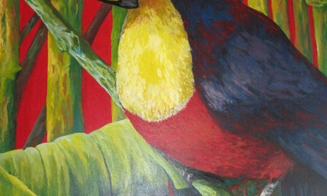 animaladas