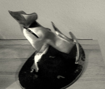 Torito