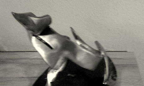 Torito