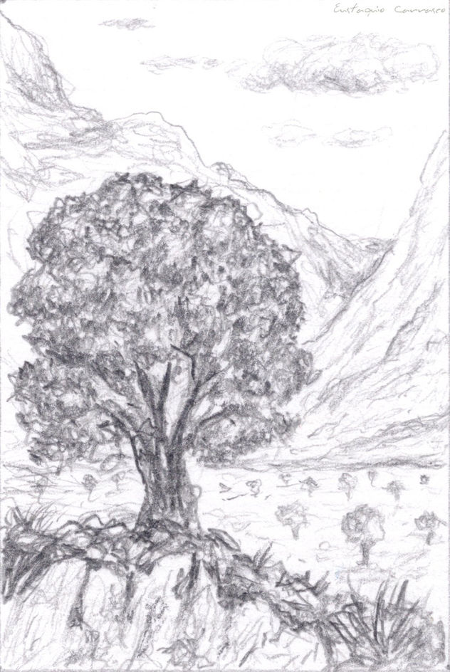 Árbol sobre un montículo