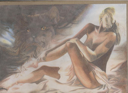 Felino